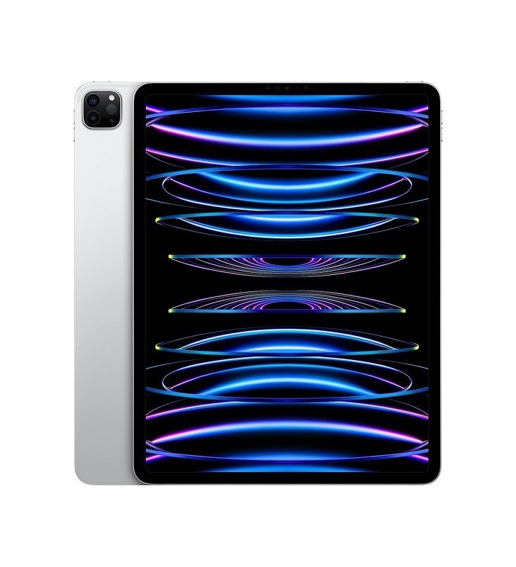 Apple iPad Pro 6 2022 (A2437) 512GB Silver Chip M2 MP233TY/A 12.9 WiFi Cellular Retina Argento [Grade B]"