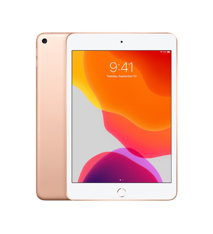 Apple iPad Mini 5 2019 (A2133) 64GB Gold MUQY2TY/A 7.9 WiFi Retina Oro [Grade B]"