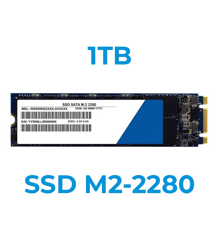 Upgrade a 1TB SSD M2