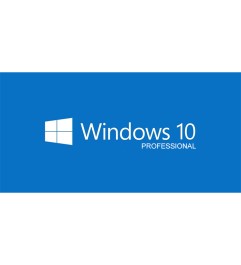Upgrade a Windows 10 Professional