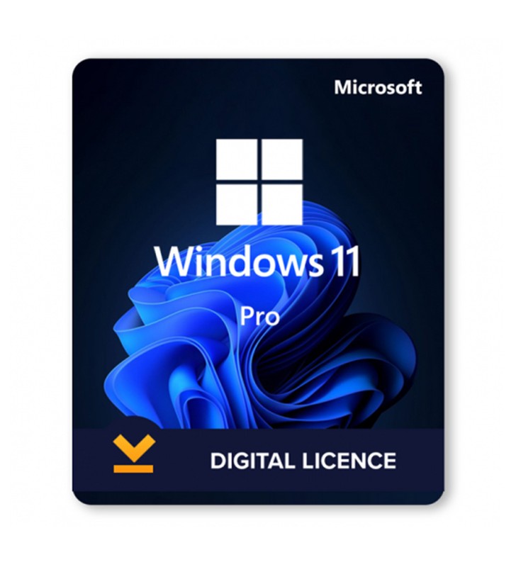Upgrade a Windows 11 Professional